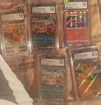Charizards cartas CGC