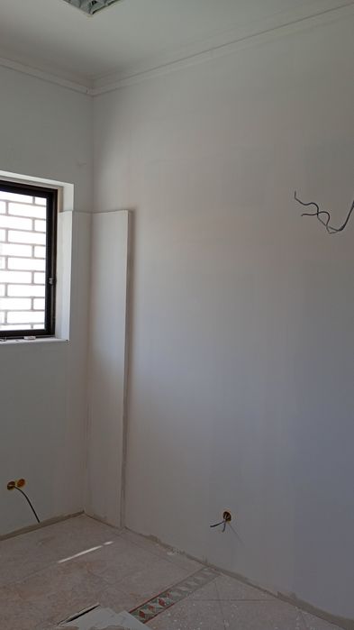 Pintor profissional