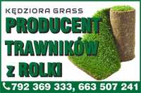 Trawa z rolki, jakość premium, producent