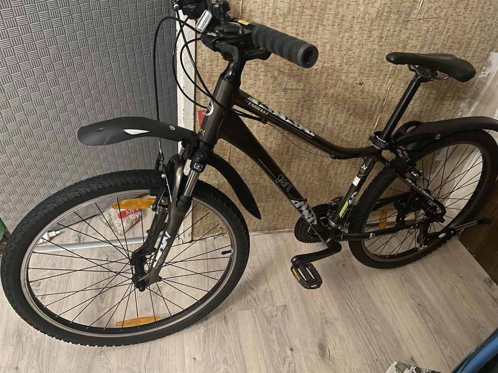 rower górski Liv Enchanted Giant S