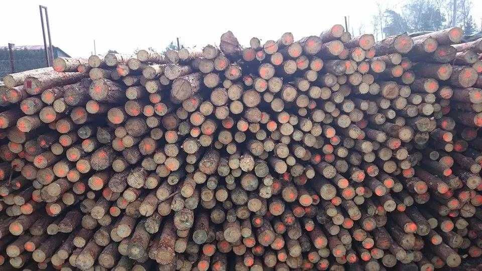 Stemple budowlane nowe 3mb stojaki podpory drewniane słupki solidne