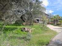 Terreno em Paderne de 9560,00 m2