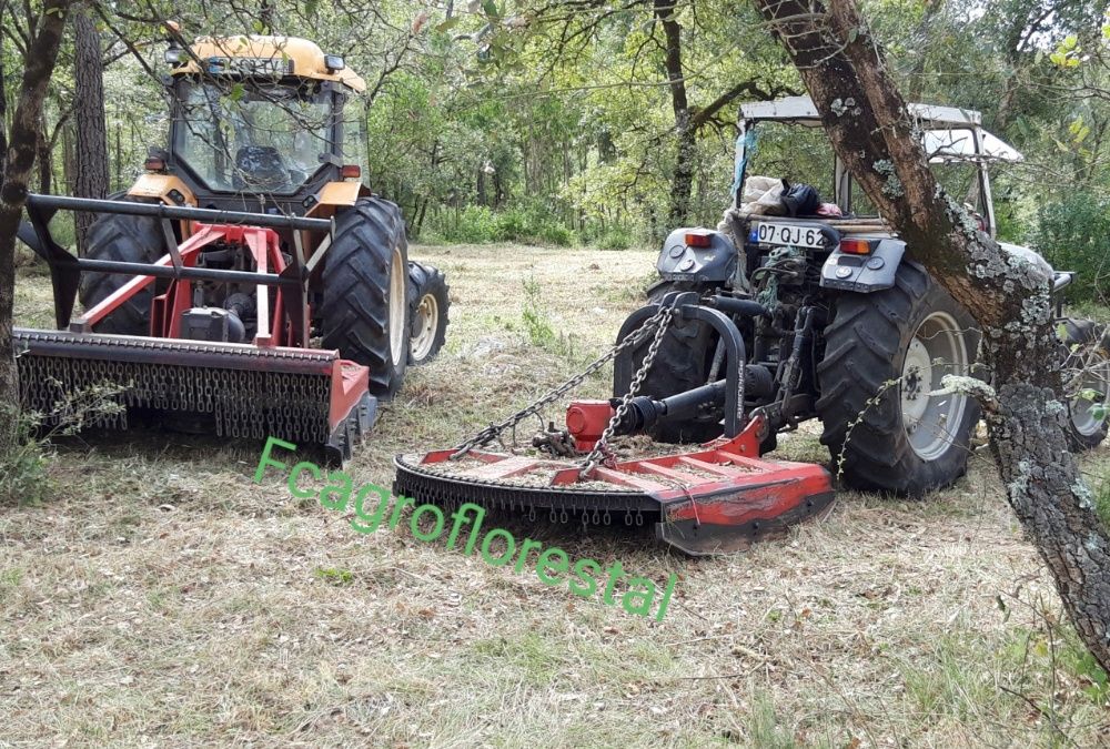 Limpezas de terrenos florestais vedações construção de muros em betão