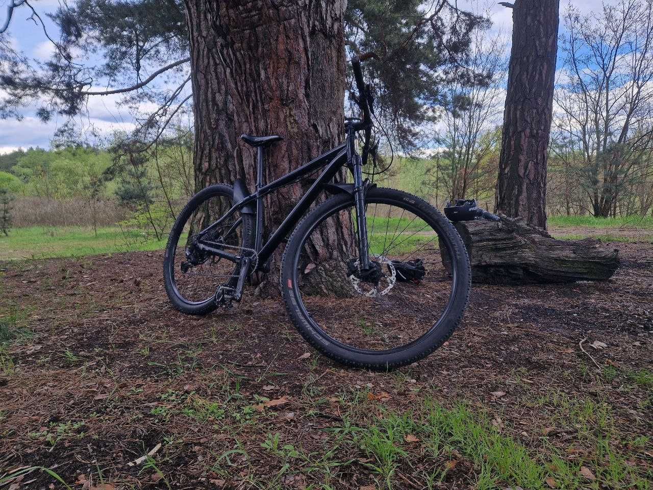 Apollo Expert/29/cross country bike