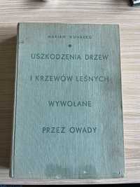 Uszkodzenia drzew i krzewow leśnych wywołane przez owady Nunberg