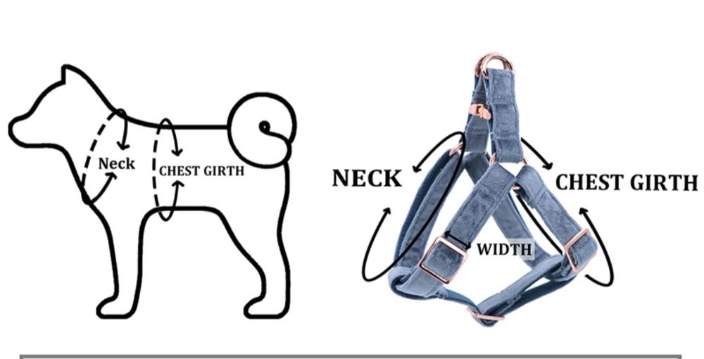 Поводок для собаки. 2в1
