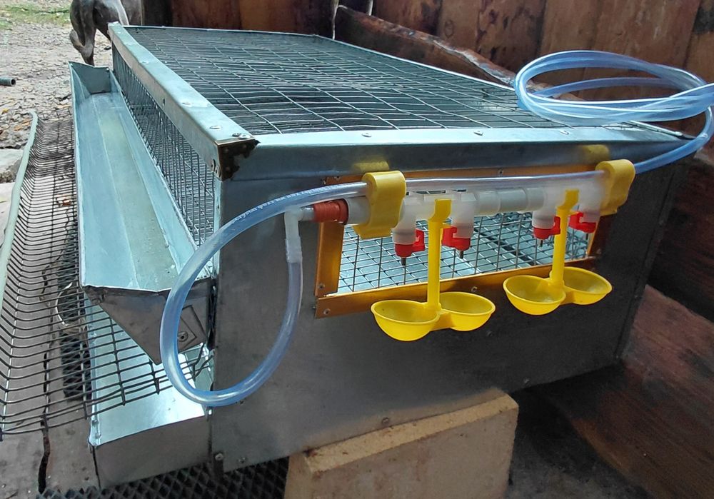 Клітка для перепелів перепілок