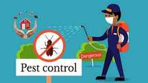 Serviço desinfestação/controlo de pragas