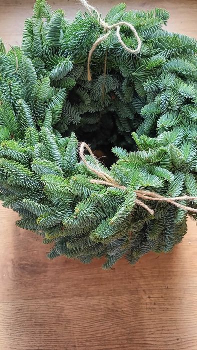 Wianki z nobilisu , żywe gałązki ładnie wyplecione