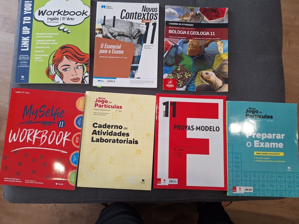 Cadernos de atividades 11 ano