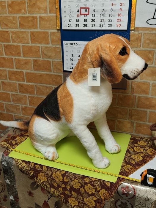 Pies pluszak Beagle siedzący duży 50cm.