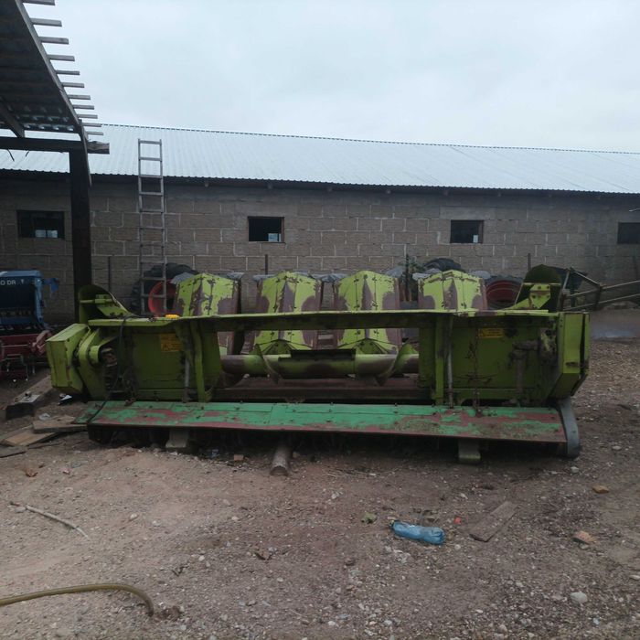 Przystawka heder do kukurydzy class dominator