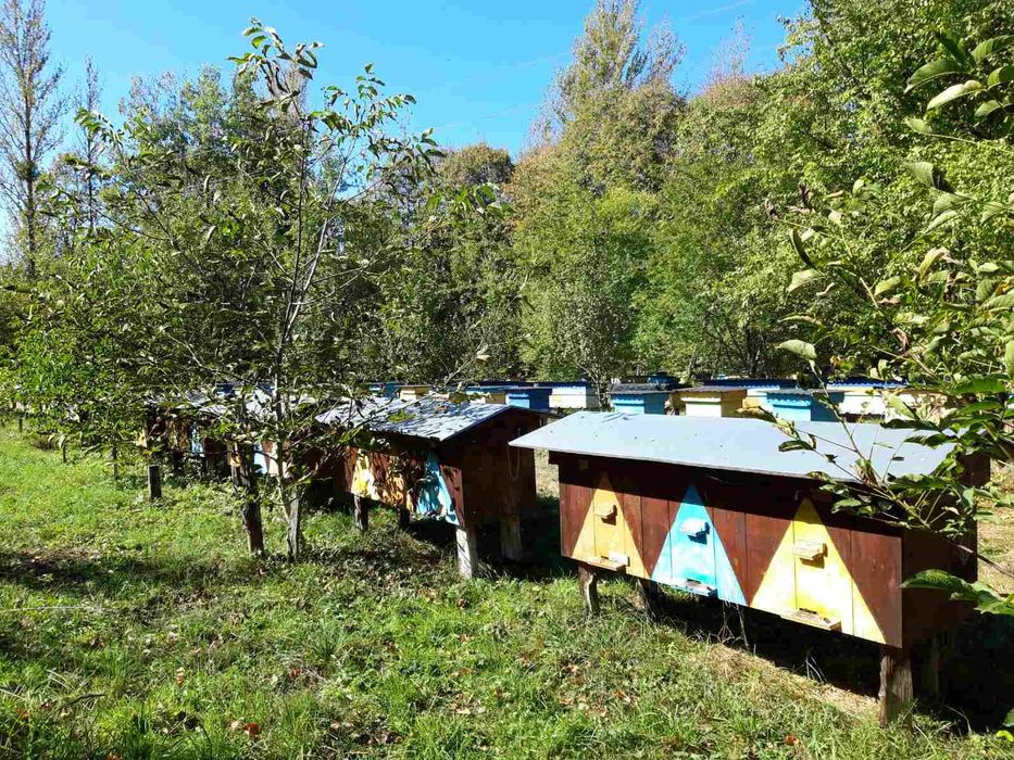 Продам вулики ...