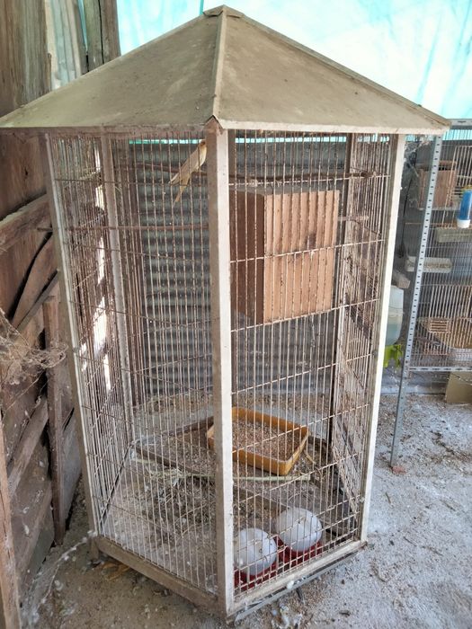 Viveiro para aves com rodas