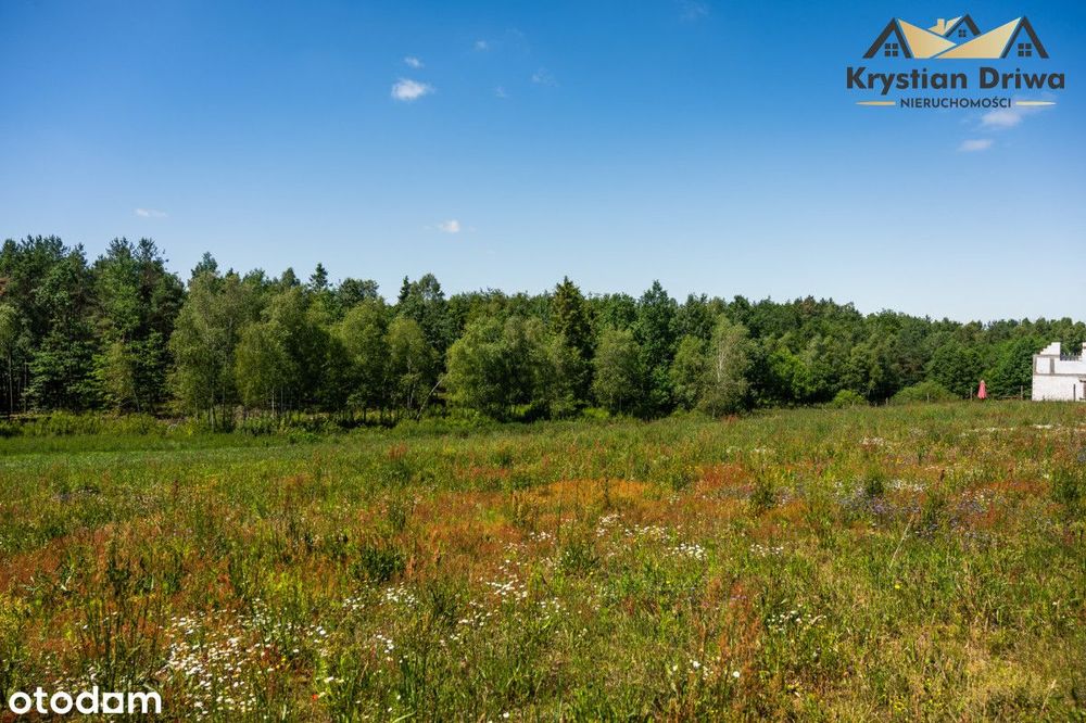 Działka z Warunkami Zabudowy blisko Gowidlina!