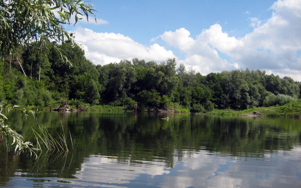 Будиночок на березі річки Сейм