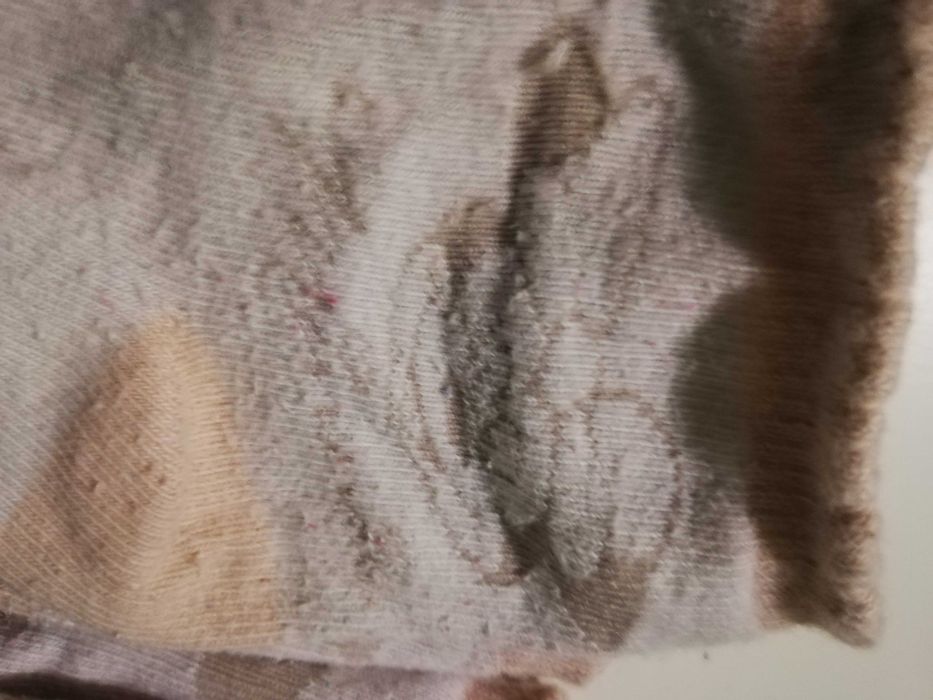 skarpetki dziewczęce minnie i inne tanio