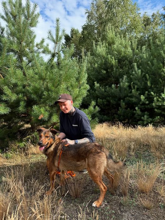 Sygney cudeńko do adopcji