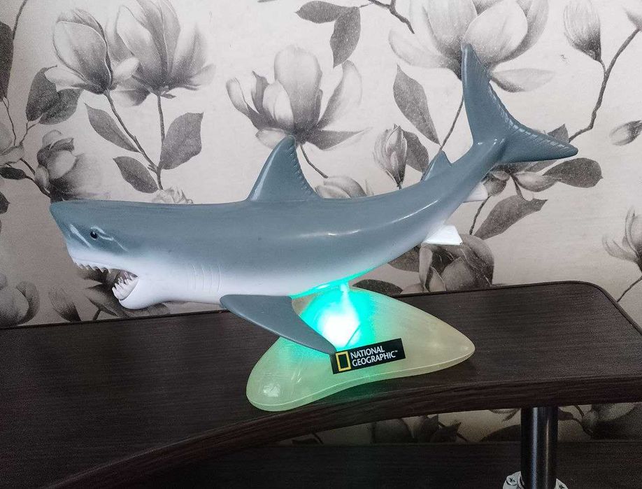 Белая акула, анатомическая (Natiomal Geographic) c подсветкой (33 см)