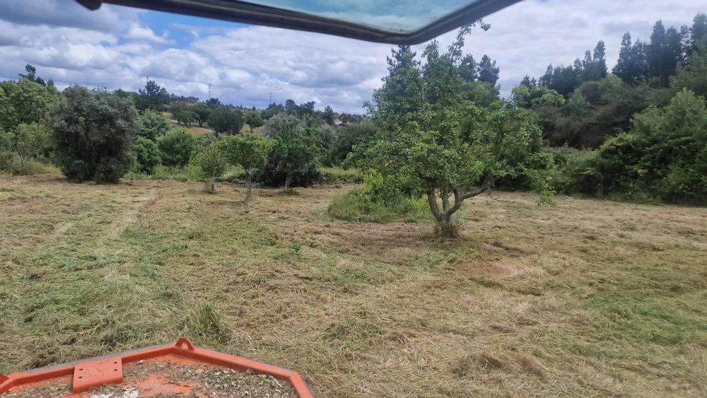 limpeza de terrenos/ desmatação/ venda de lenha