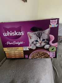 Karma whiskas junior 2 op x 12 sadzetek