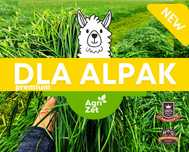 Mieszanka traw dla alpak / tereny suche / mieszanka traw GRATISY!PP