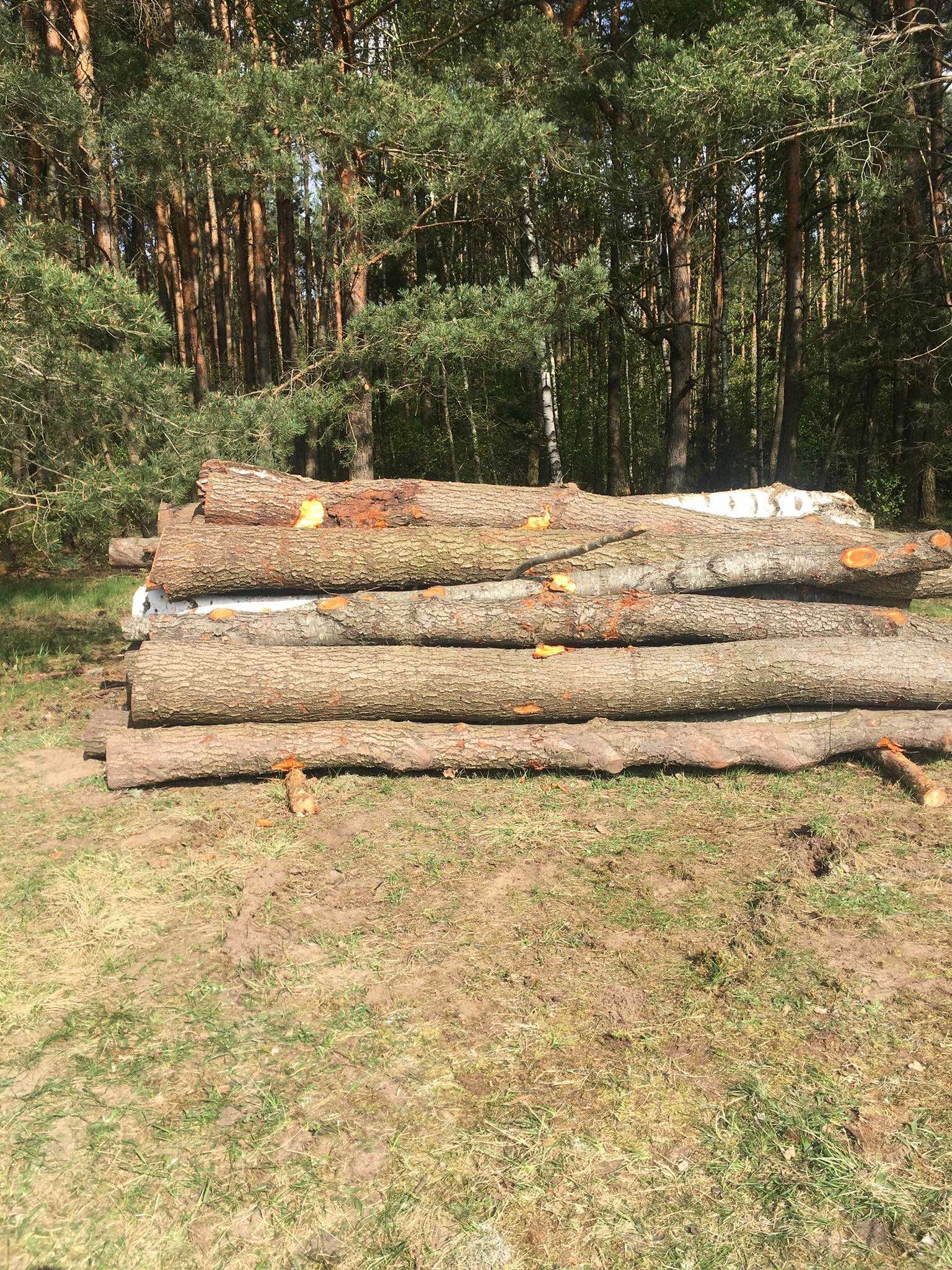 Sprzedam olche 4m/2m