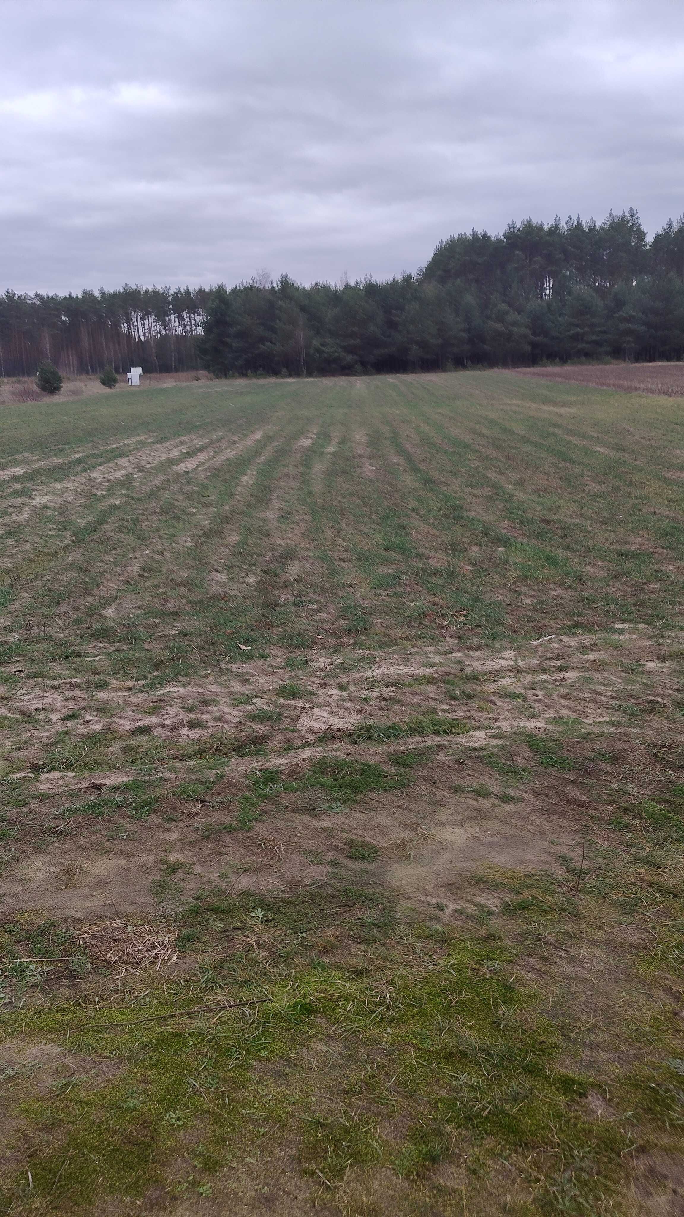 Działki budowlane w Świniotopi