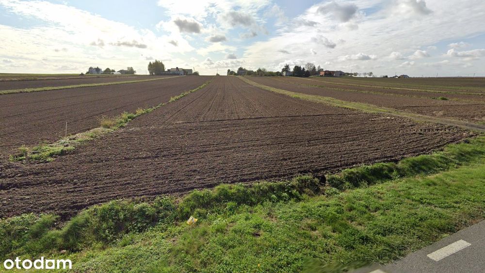 Działka rolna 2,66 ha, Warszew, gm. Opatówek