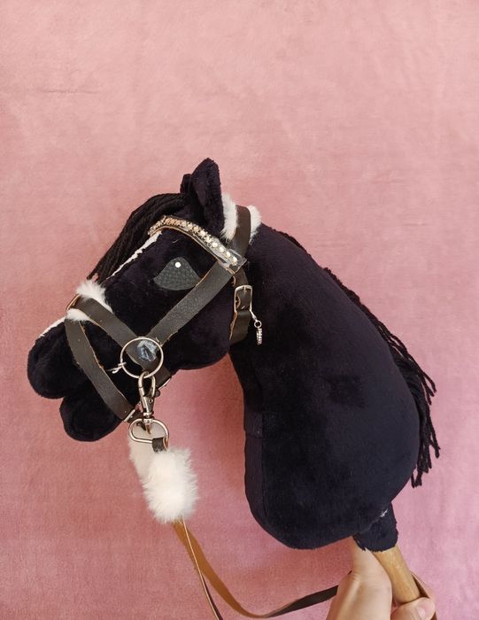 Kary hobby horse