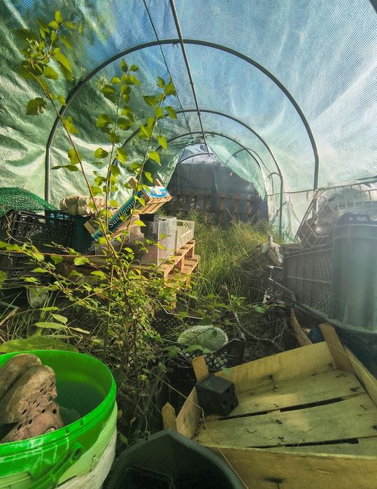 Szklarnia 15m2, Namiot ogrodowy,, Stelaż XL