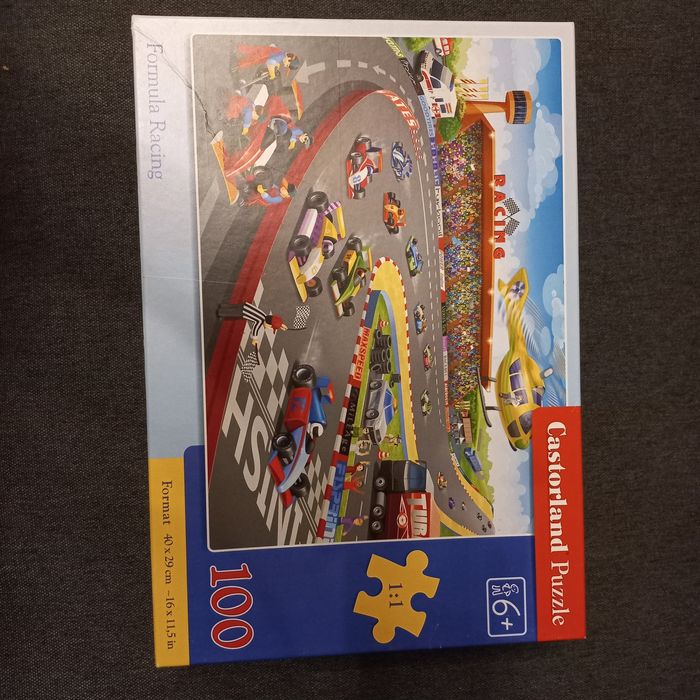Puzzle Castorland 100 elementów