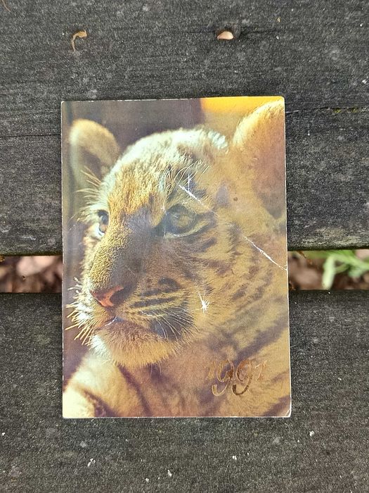 Calendários Soviéticos (URSS) - Ano de 1991