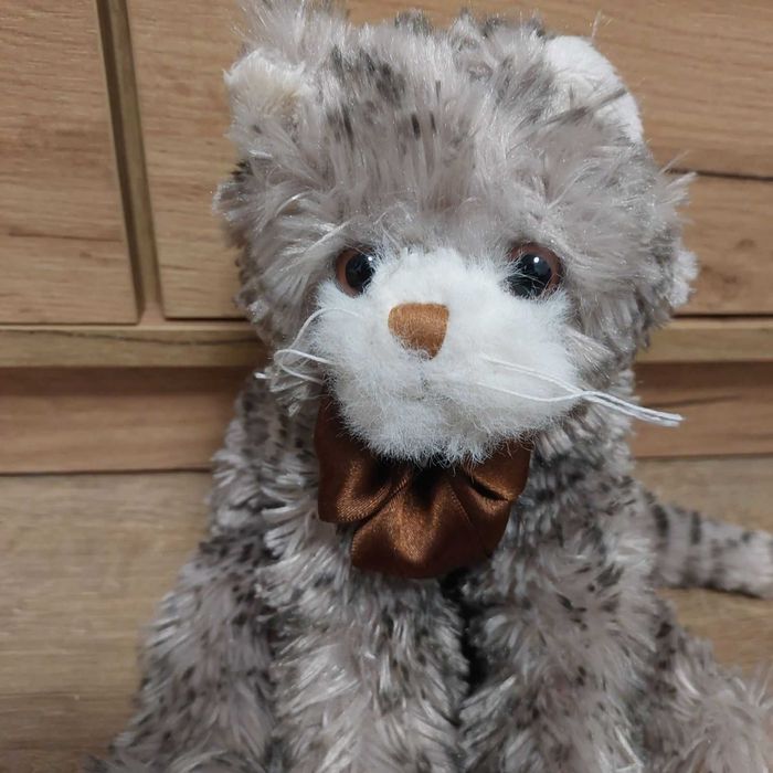 Кіт Maciek від шведського бренду Bukowski