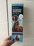 Diamond painting 30x40 cm z wzorem konia