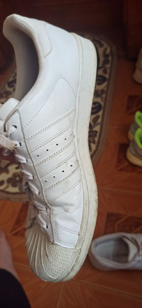 Adidas super star оригинал