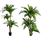 Sztuczna dracena w doniczce wysoka roślina ozdobna drzewko 180 cm