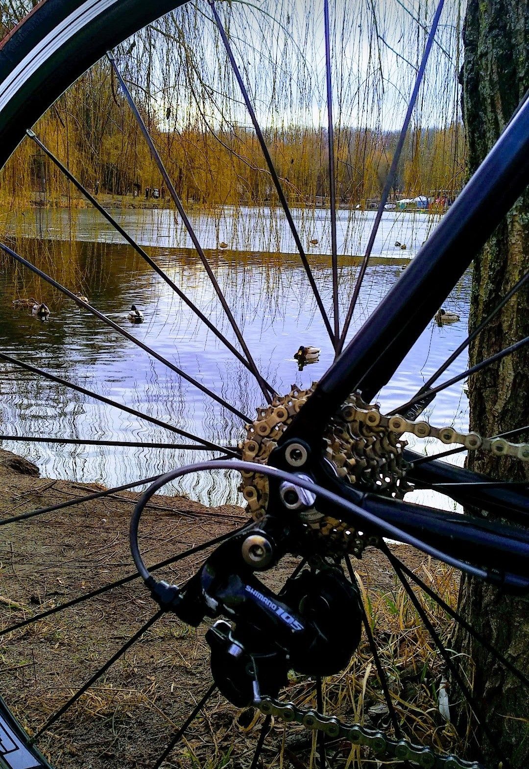 Шоссейный велосипед Schwinn Shimano 105 велоформа Scott Bianchi Trek