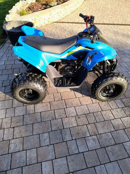 Quad CF Moto Cforce 110