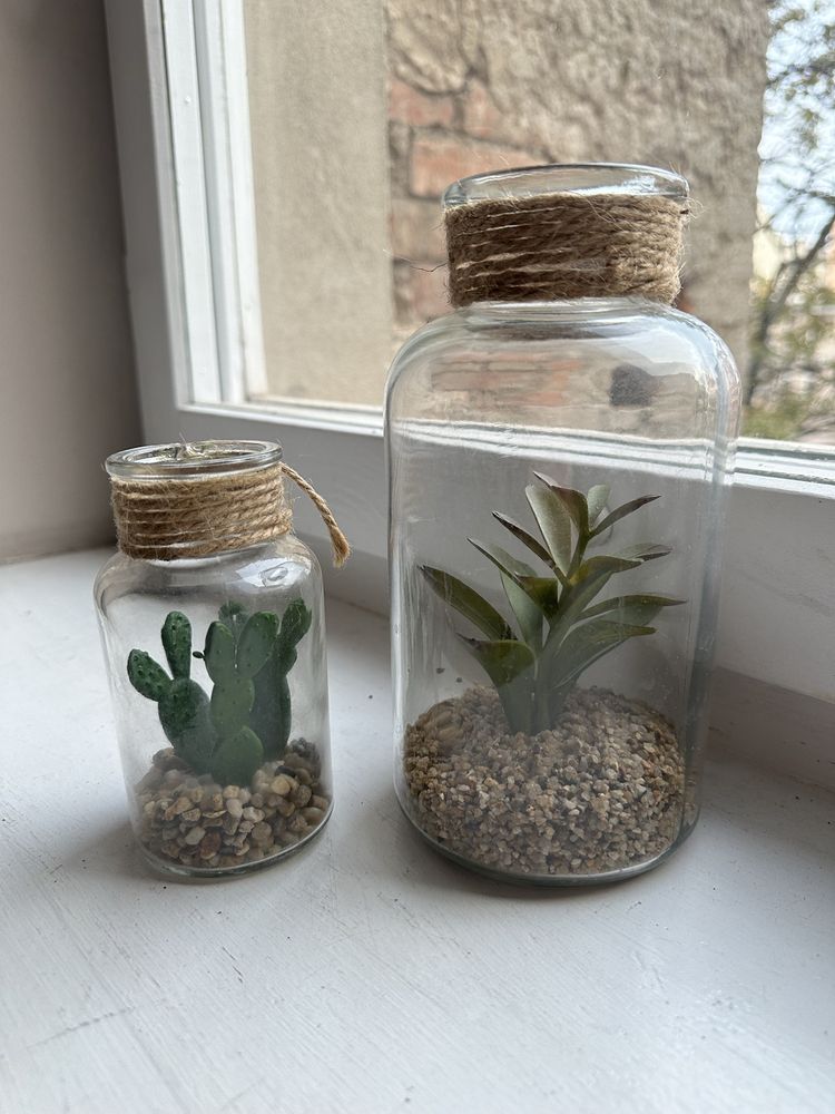 Rośliny dekoracyjne w szklankach