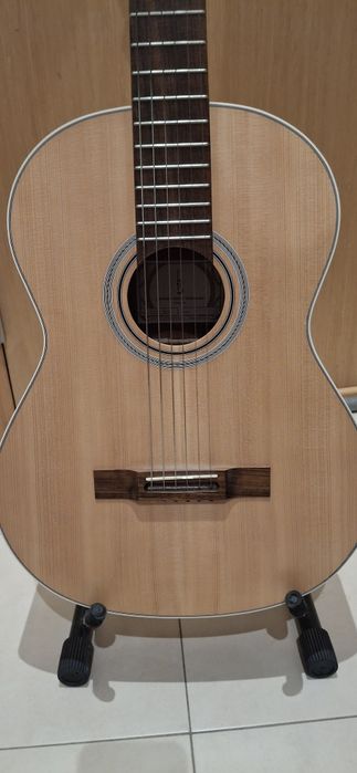 Viola de Fado APC