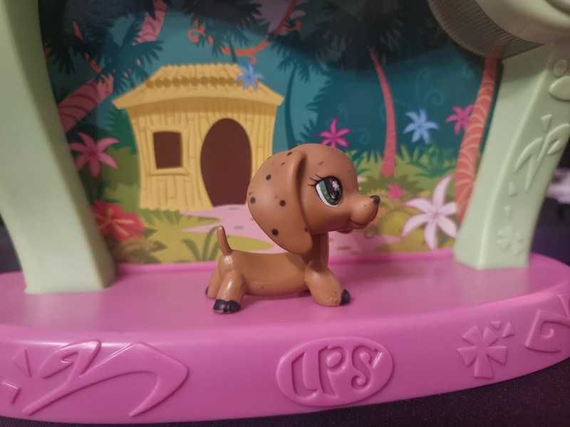 Littlest pet shop