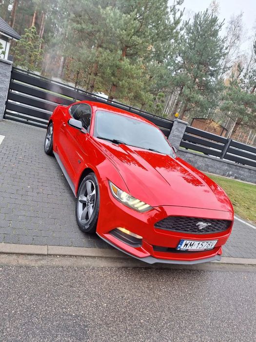 Ford Mustang Mustang 3.7 Bezwypadkowy Roush