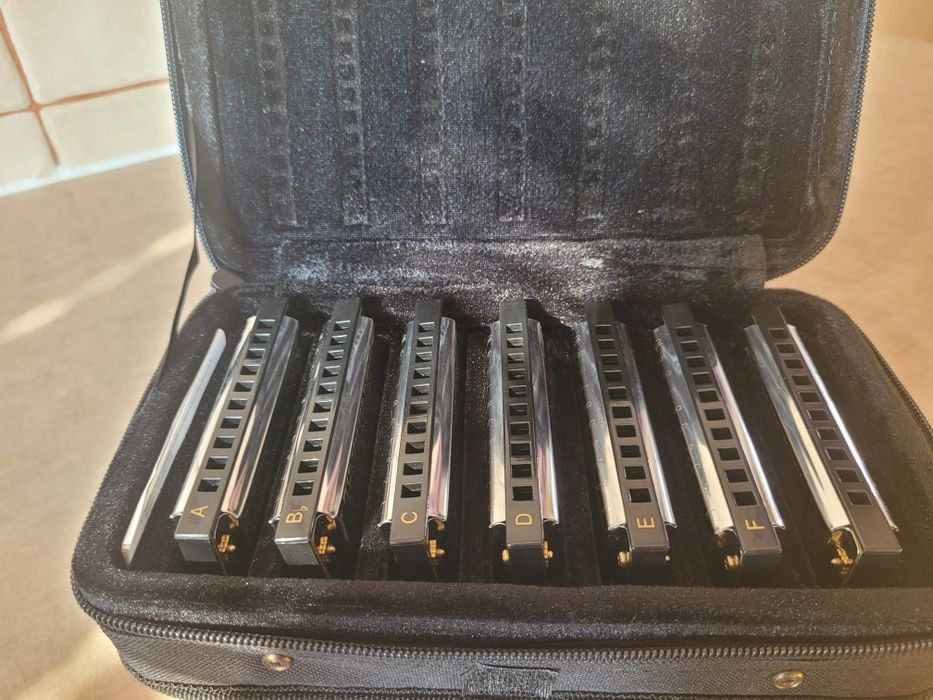 Zestaw Harmonica Blues Hohner Vintage