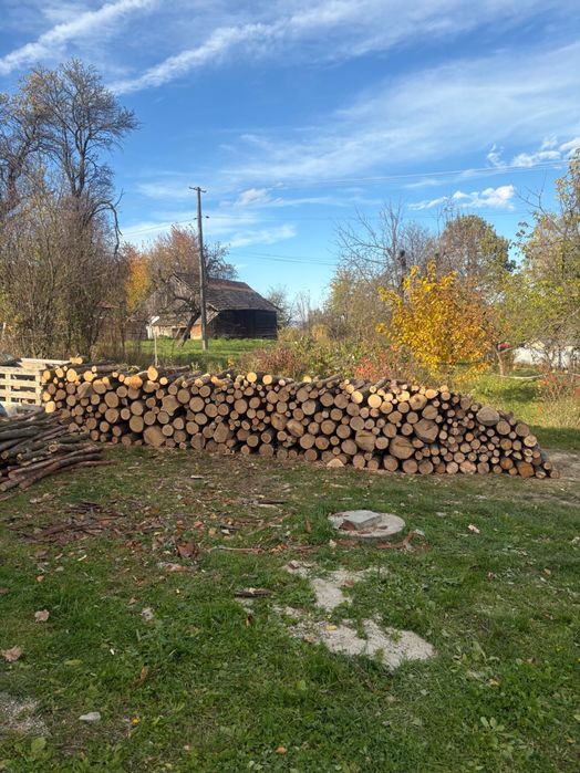 Dąb opał drzewo kominek