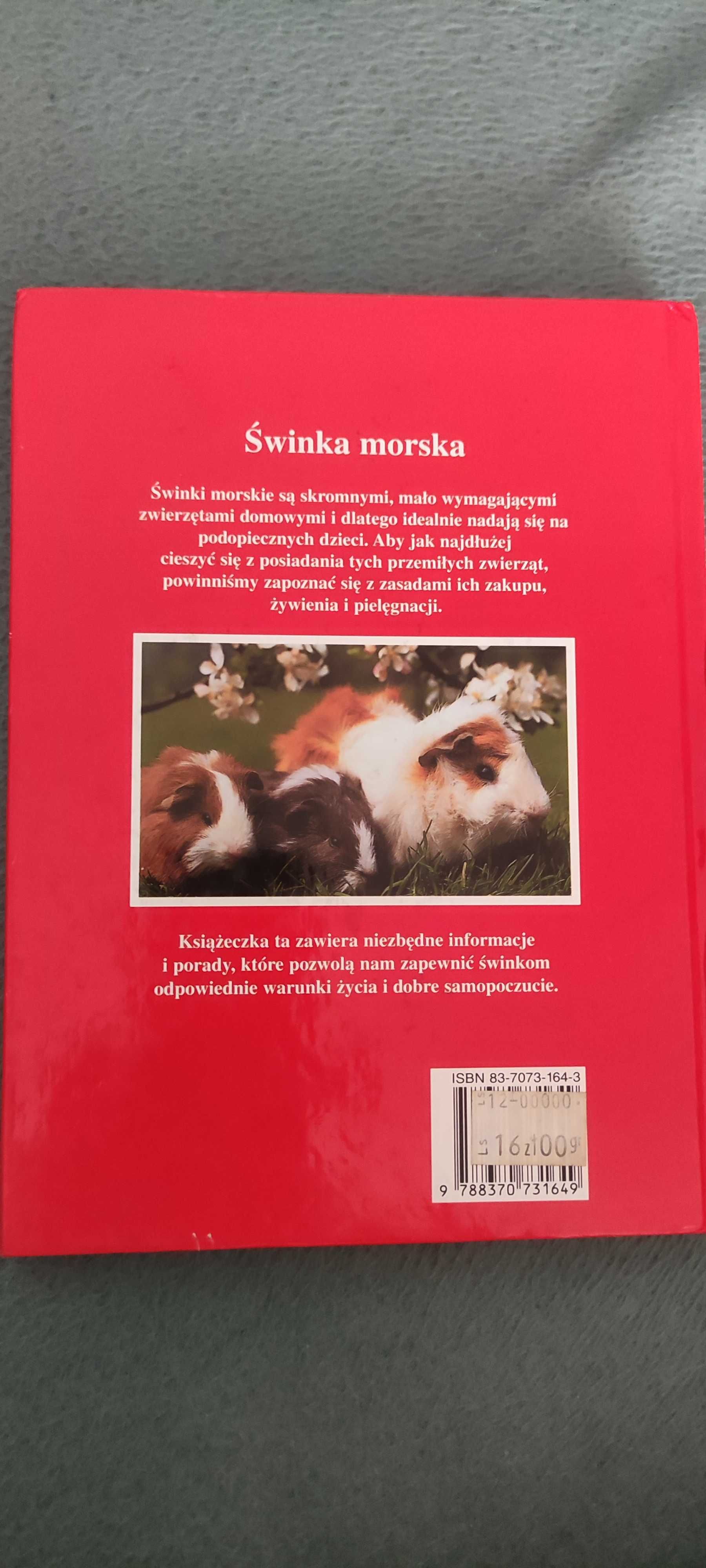 Świnka morska - Eva Maria Bartenschlager