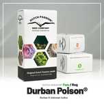 nasiona konopi indyjskich Durban Poison - Dutch Passion 3 sztuki