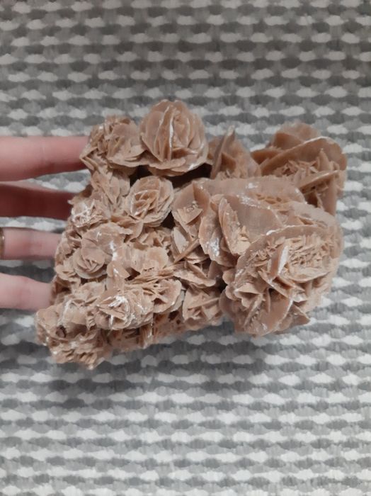 Róża pustyni duży kamień