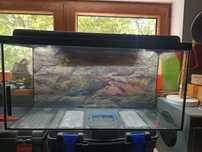 Akwarium 80 x 40 x 30