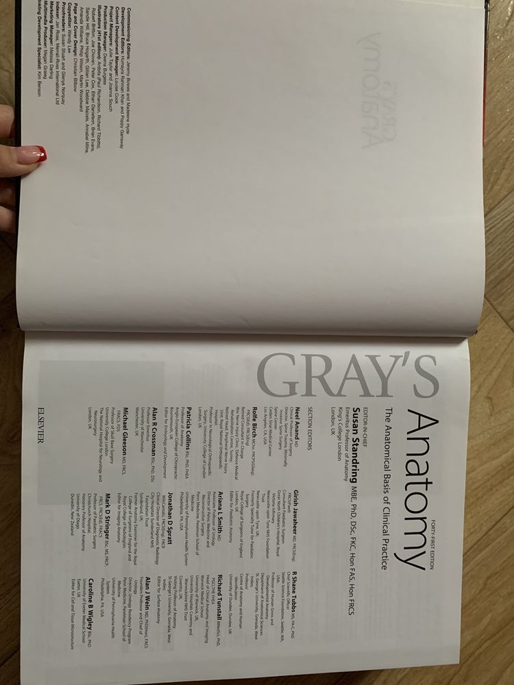 Книга Gray's Anatomy The anatomical basis of clinical Practice 41/e 20